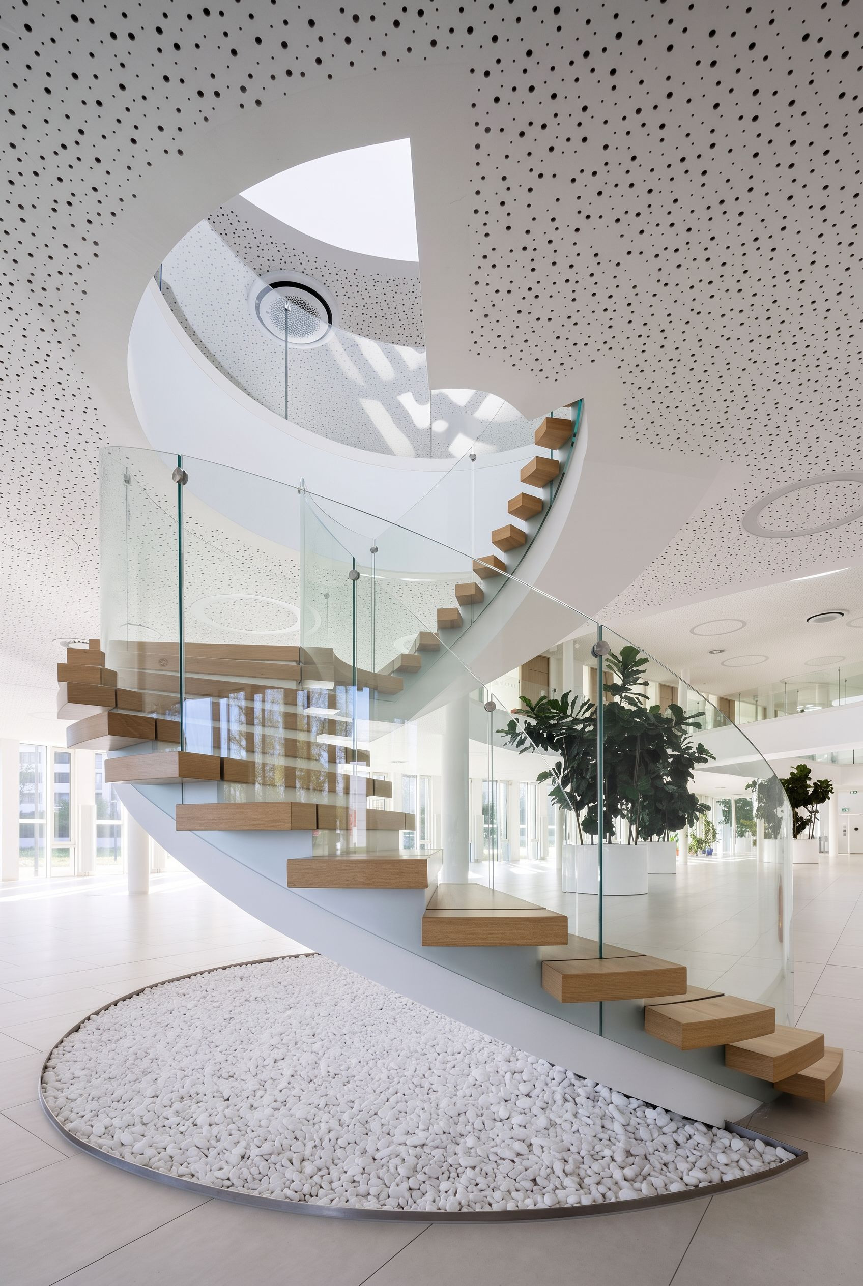 Project Image 8
